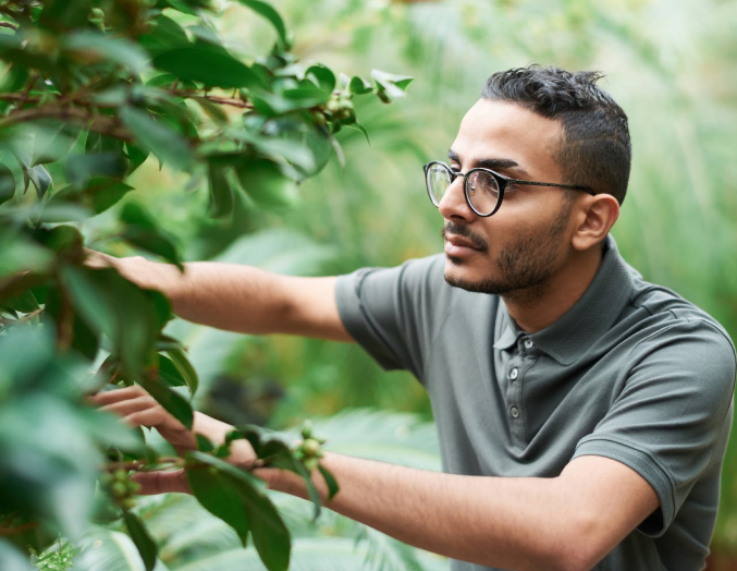 Research More Organic Foods